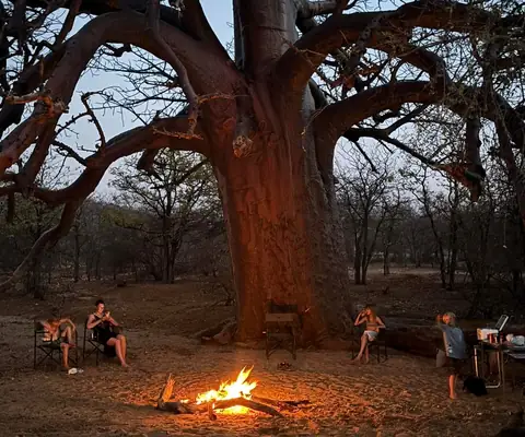 The family gathered by firelight beneath an ancient baobab tree